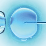 ivf